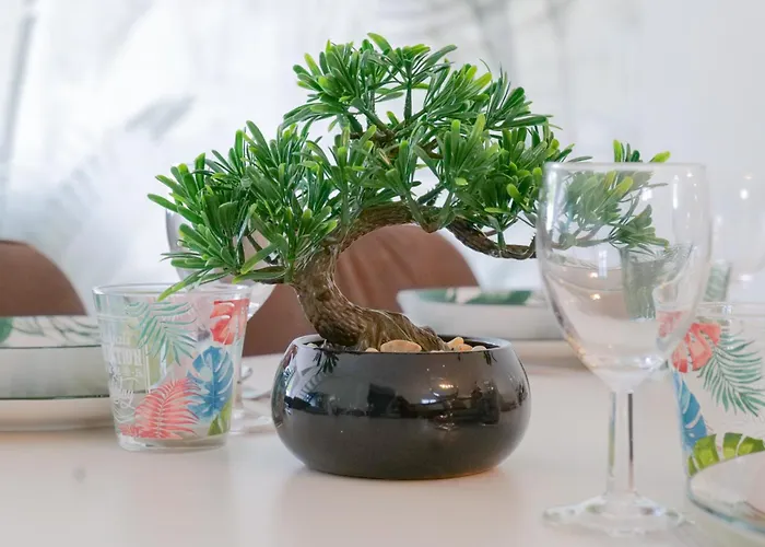 Prázdninový dům Jolie Et Grande Maison Renovee Quartier Le Hameau Des Pins - 8 Personnes